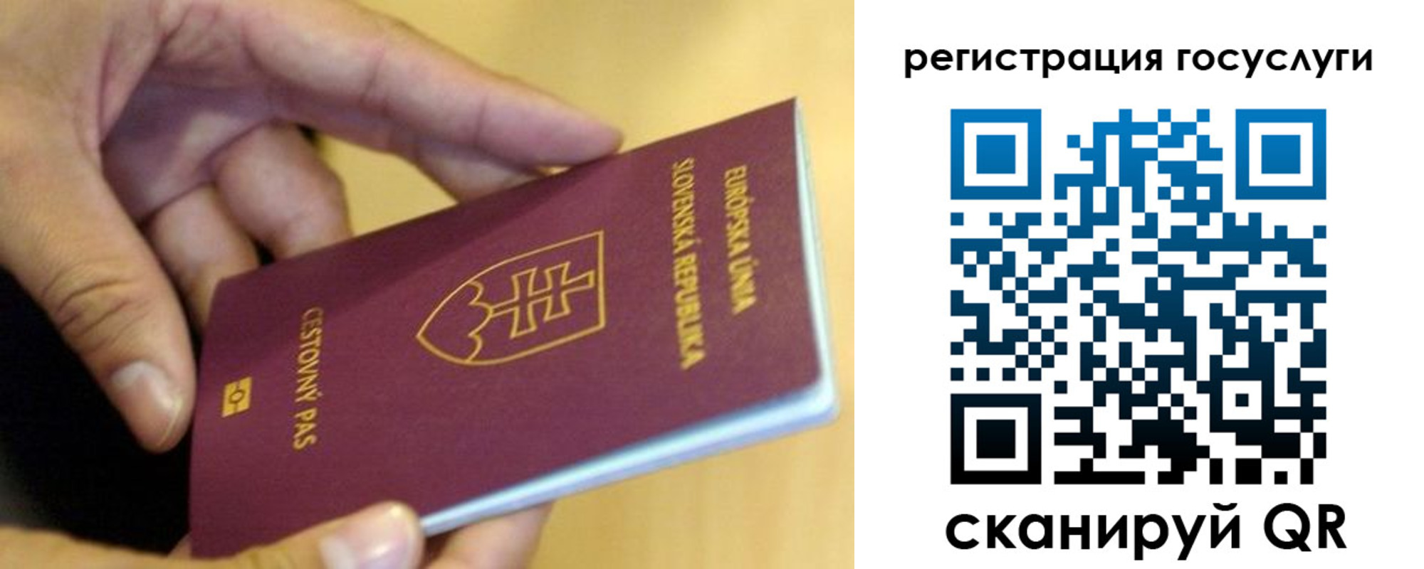 прописка в квартире в Лосино-Петровском